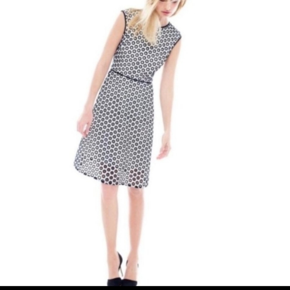 J Crew Fit and Flare dress Punched out polk a dot
